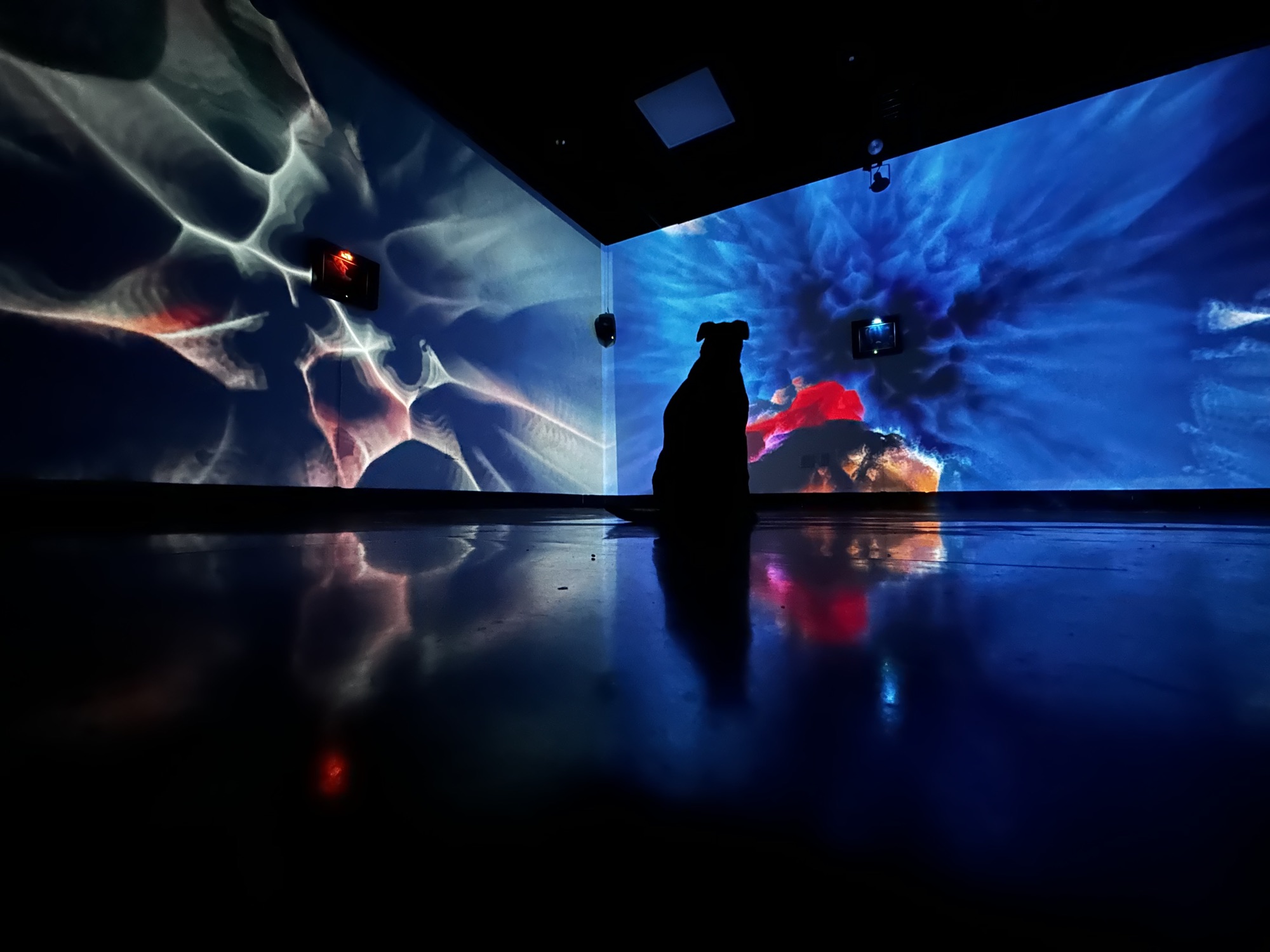 Páramo Immersion