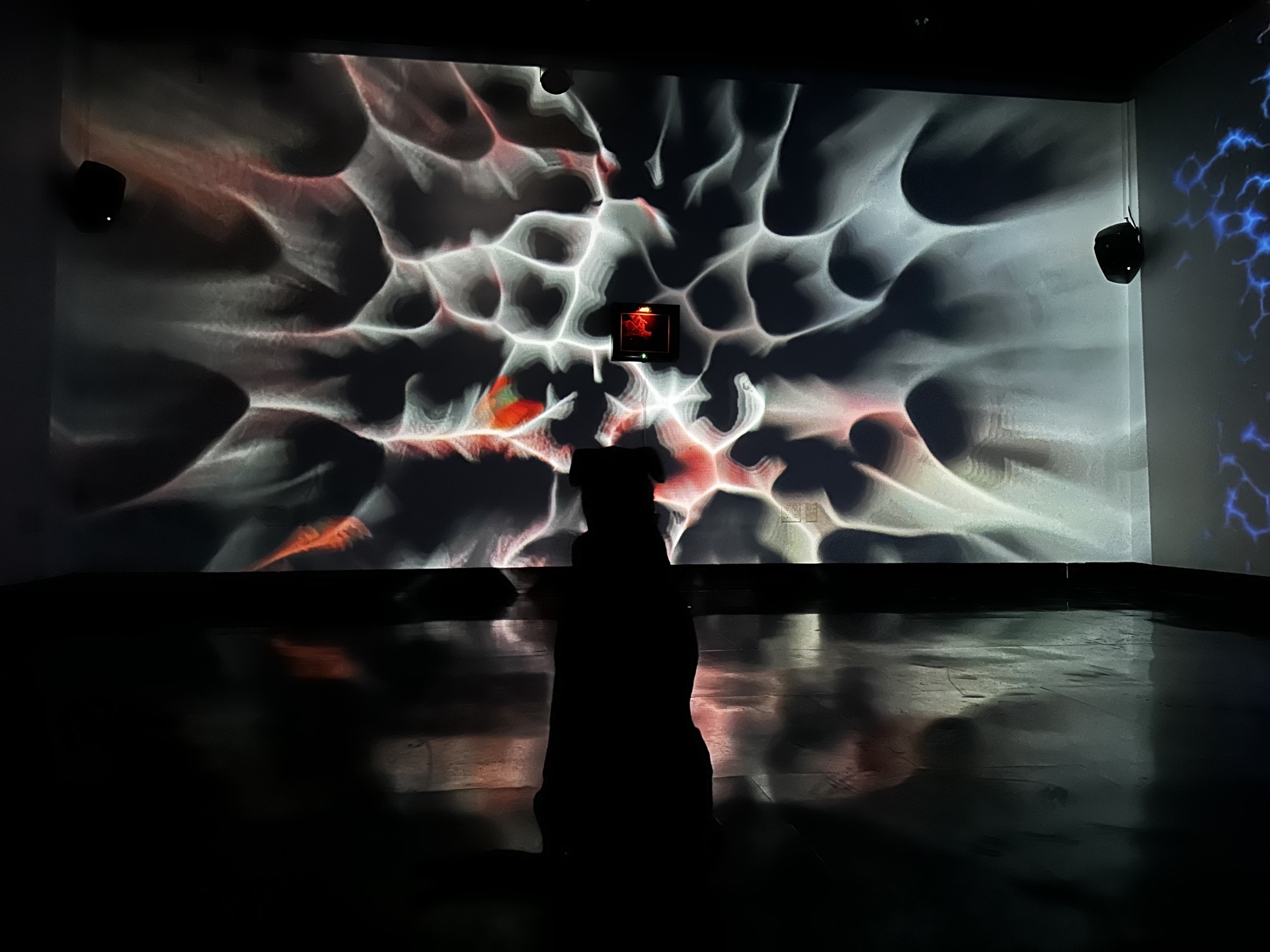 Páramo Immersion — photo 1