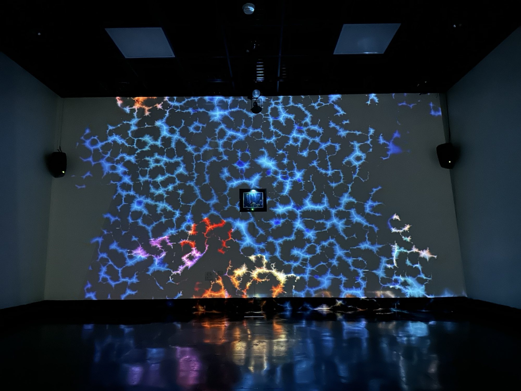 Páramo Immersion — photo 2