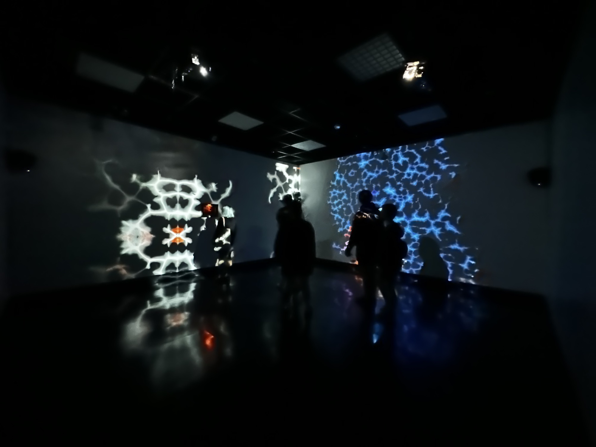 Páramo Immersion — photo 3