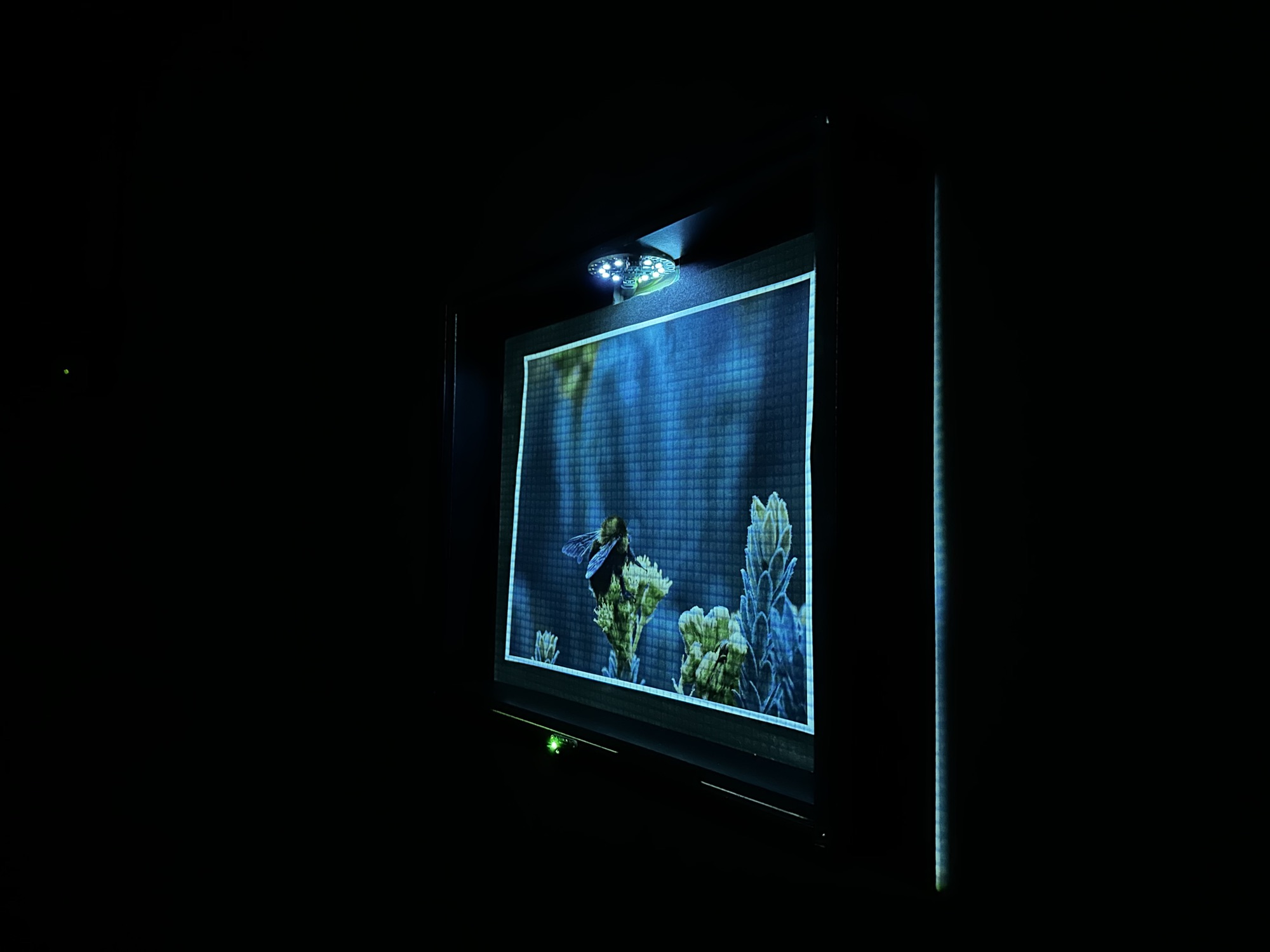 Páramo Immersion — photo 8